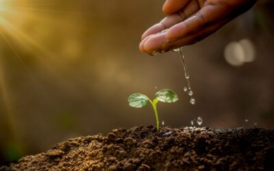 A Safe Space for Growth